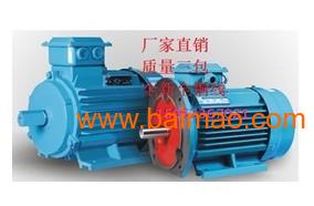 高效節能三相異步電動機 市場熱銷下的制造趨勢與價格解析